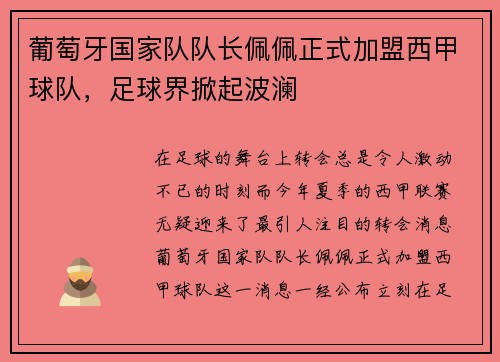 葡萄牙国家队队长佩佩正式加盟西甲球队，足球界掀起波澜